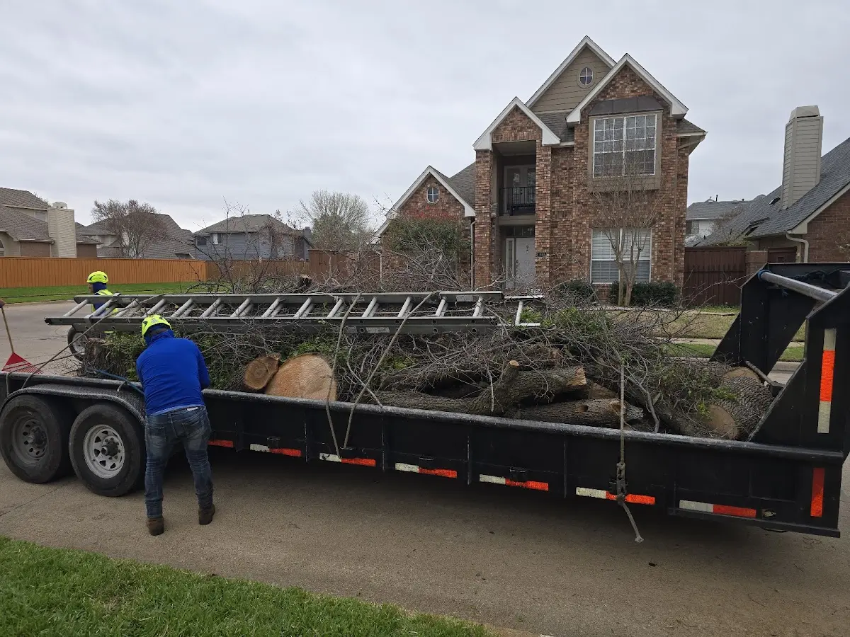 Expert Tree Fertilization with proper safety equipment in Eveleth
